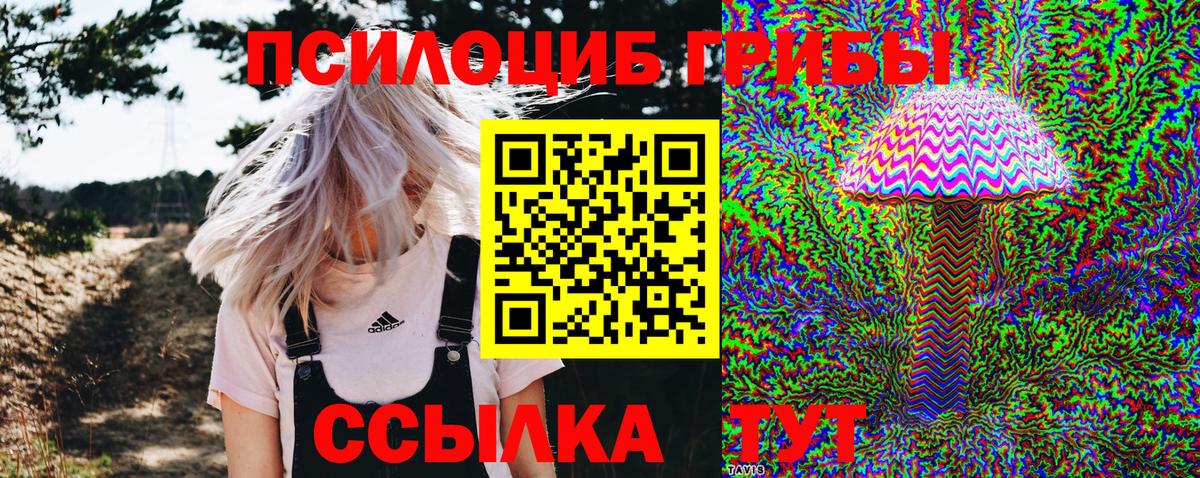 продажа наркотиков  Псилоцибиновые грибы GOLDEN TEACHER  Вход с VPN  Ярцево 